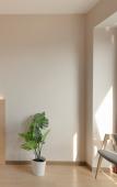 Туры в отель IDO Hotel (Shiping Bridge Zhengjie Branch, Yangjiaping, Chongqing)