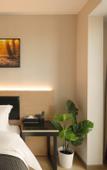 Туры в отель IDO Hotel (Shiping Bridge Zhengjie Branch, Yangjiaping, Chongqing)