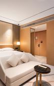 Туры в отель Grand Skylight Hotel SDP