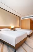 Туры в отель Grand Skylight Hotel SDP