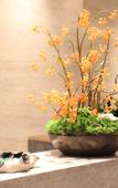 Туры в отель Grand Skylight Hotel SDP