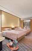 Туры в отель Grand Skylight Hotel SDP
