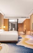 Туры в отель Grand Skylight Hotel SDP