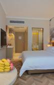 Туры в отель Vienna Hotel (Jinan Shandong International Exhibition Center, West Second Ring Road Branch)
