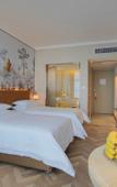 Туры в отель Vienna Hotel (Jinan Shandong International Exhibition Center, West Second Ring Road Branch)