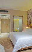Туры в отель Vienna Hotel (Jinan Shandong International Exhibition Center, West Second Ring Road Branch)