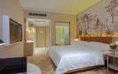 Туры в отель Vienna Hotel (Jinan Shandong International Exhibition Center, West Second Ring Road Branch)
