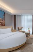Туры в отель Vienna International Hotel(Ecological Zoo store )