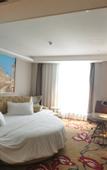 Туры в отель Vienna International Hotel(Ecological Zoo store )