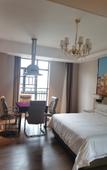 Туры в отель Vienna International Hotel(Ecological Zoo store )