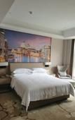 Туры в отель Vienna International Hotel(Ecological Zoo store )