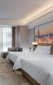 Туры в отель Vienna International Hotel(Ecological Zoo store )