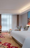 Туры в отель Vienna International Hotel(Ecological Zoo store )