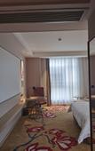 Туры в отель Vienna International Hotel(Ecological Zoo store )