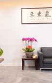 Туры в отель Qingzhu YiHe Hotel (Qilu Hospital Quancheng Plaza)