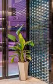 Туры в отель Youcheng Hotel (Zhongxingcheng Wetland Park Branch)