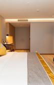 Туры в отель Zhujin Culture Hotel, Tumai