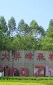 Туры в отель Yuechen·Youmian Hotel