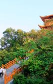 Туры в отель Yuechen·Youmian Hotel