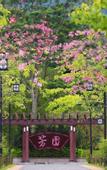 Туры в отель Yuechen·Youmian Hotel