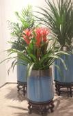 Туры в отель Yuechen·Youmian Hotel