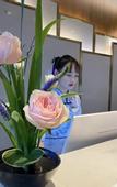 Туры в отель TILL BRIGHT Hotel (Changsha Meixi Lake)