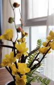 Туры в отель TILL BRIGHT Hotel (Changsha Meixi Lake)