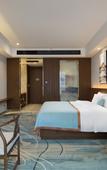 Туры в отель TILL BRIGHT Hotel (Changsha Meixi Lake)