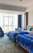 Туры в отель TILL BRIGHT Hotel (Changsha Meixi Lake)