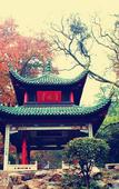 Туры в отель TILL BRIGHT Hotel (Changsha Meixi Lake)