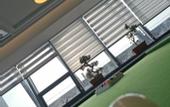 Туры в отель Boli Yabu Hotel