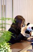 Туры в отель HAZENS HOTEL (Chengdu Chunxi Road Tianfu Square Metro Station Store)