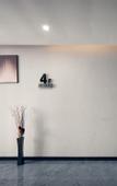 Туры в отель Borrman Hotel (Baise Tiandong Hengli Plaza)