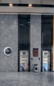 Туры в отель Borrman Hotel (Baise Tiandong Hengli Plaza)