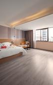 Туры в отель Borrman Hotel (Baise Tiandong Hengli Plaza)