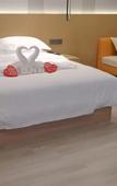 Туры в отель Borrman Hotel (Baise Tiandong Hengli Plaza)