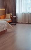 Туры в отель Borrman Hotel (Baise Tiandong Hengli Plaza)