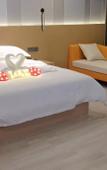 Туры в отель Borrman Hotel (Baise Tiandong Hengli Plaza)