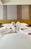 Туры в отель Borrman Hotel (Baise Tiandong Hengli Plaza)