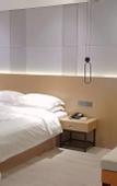 Туры в отель Borrman Hotel (Baise Tiandong Hengli Plaza)