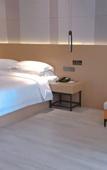 Туры в отель Borrman Hotel (Baise Tiandong Hengli Plaza)