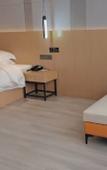 Туры в отель Borrman Hotel (Baise Tiandong Hengli Plaza)