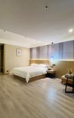 Туры в отель Borrman Hotel (Baise Tiandong Hengli Plaza)