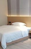 Туры в отель Borrman Hotel (Baise Tiandong Hengli Plaza)