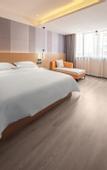 Туры в отель Borrman Hotel (Baise Tiandong Hengli Plaza)