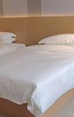 Туры в отель Borrman Hotel (Baise Tiandong Hengli Plaza)