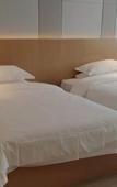 Туры в отель Borrman Hotel (Baise Tiandong Hengli Plaza)