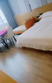 Туры в отель Borrman Hotel (Baise Tiandong Hengli Plaza)