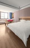 Туры в отель Borrman Hotel (Baise Tiandong Hengli Plaza)
