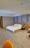 Туры в отель Borrman Hotel (Baise Tiandong Hengli Plaza)